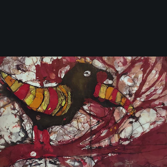Toucan by Don Wesley