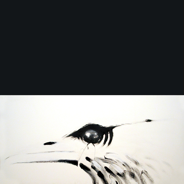 Bird number 1 by Don Wesley