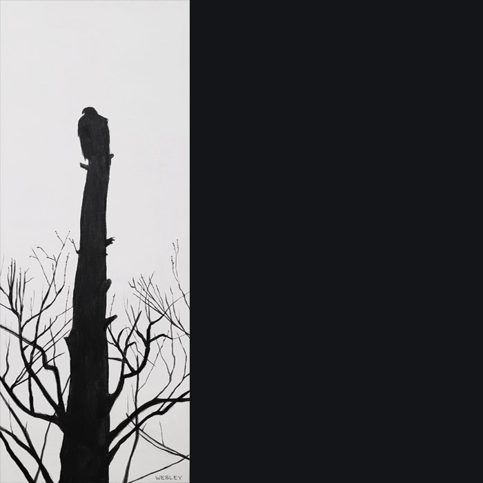 A golden eagle blends in with the dead post of a tree it's perched on.